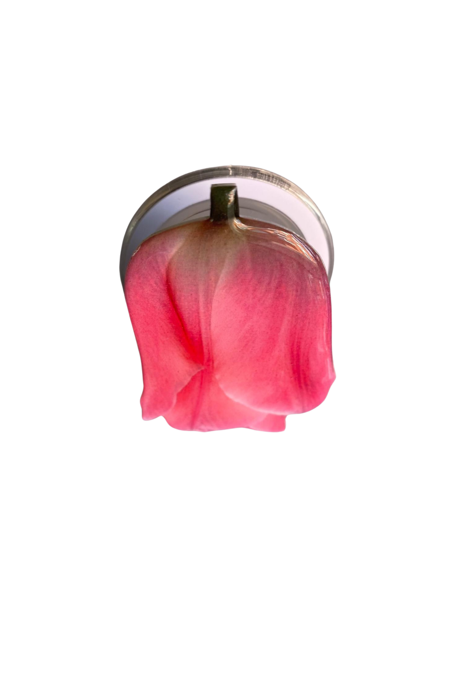 Pink Tulip Adhesive