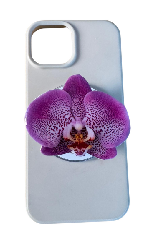 White and Purple Orchid Adhesive