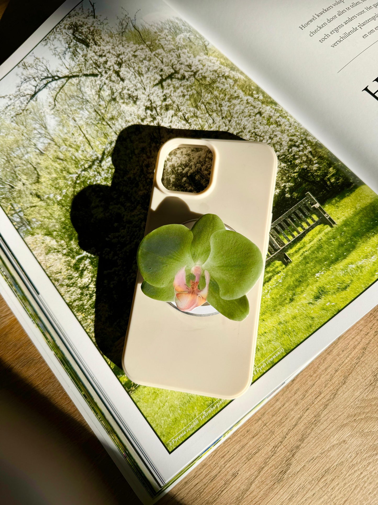 Green Orchid MagSafe